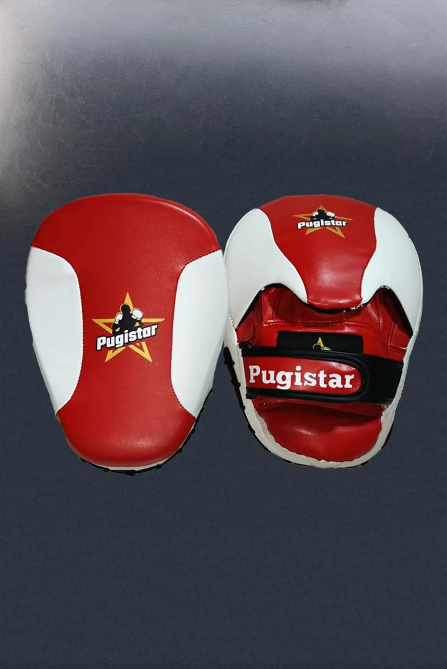 Paire de pattes d'ours synthétique GM Pugistar