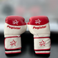 Paire gants synthétiques Pugistar